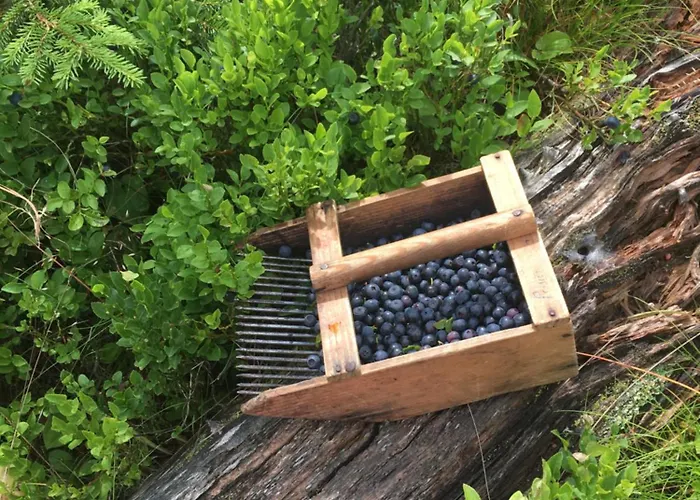 Peisserhof Appartement